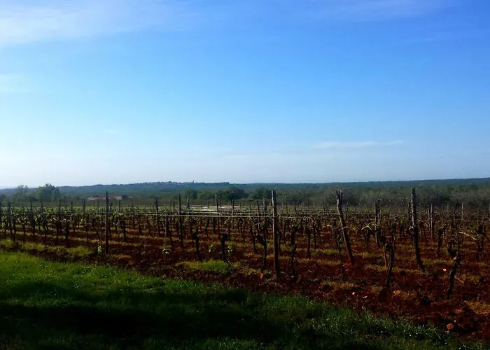 Apartmán Paradise Porec *